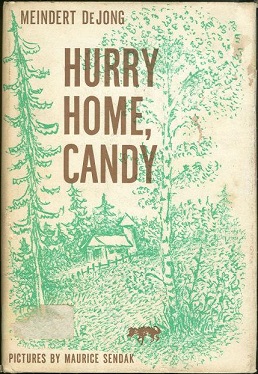 Hurry Home, Candy cover.jpg