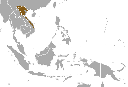 Owston's Palm Civet area.png