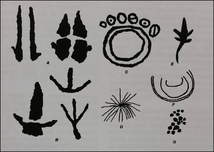 Picture1 showing motifs typical of the Panaramitee Style