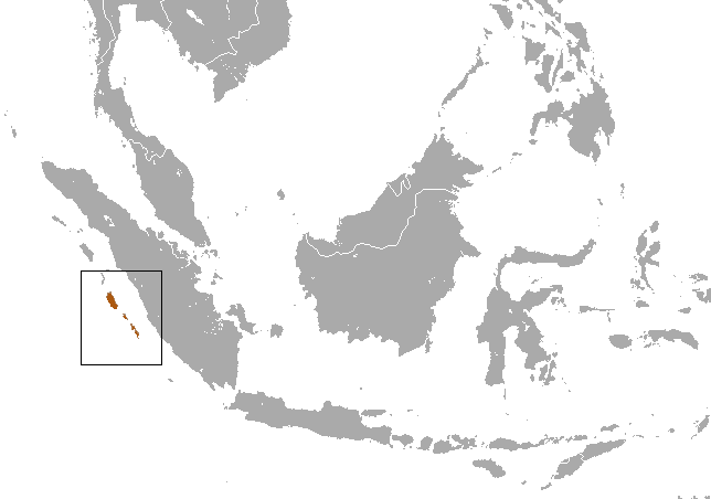 Kloss's Gibbon area