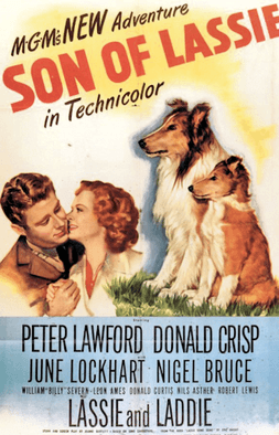 Son of Lassie - 1945 - Poster.png
