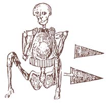 Skeleton in armor