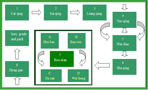 Processing Chart of Tieguanyin tea.