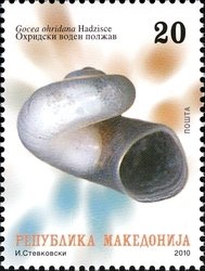 Lake Ohrid plants - Gocea ohridana