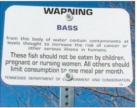 Bass warning