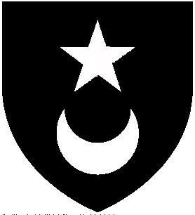 DenzellArms