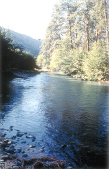 White River Oregon
