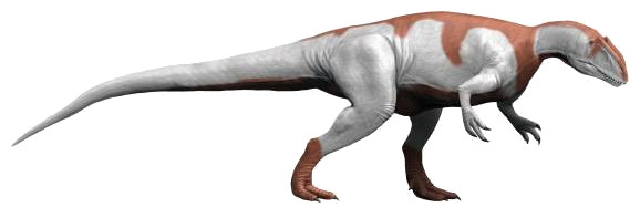 Yangchuanosaurus NT (flipped)