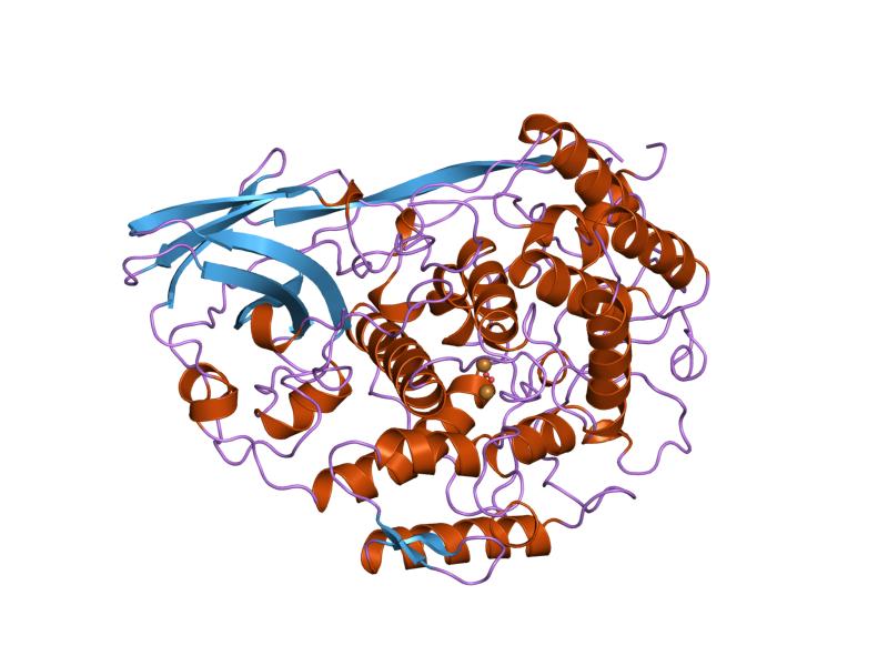 PDB 1oxy EBI