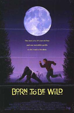 Born to Be Wild 1995.jpg