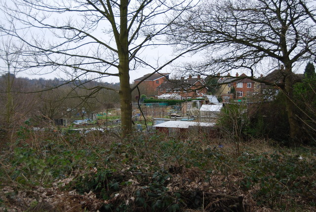 Barnetts Wood Allotments, Andrew Rd - geograph.org.uk - 1185359