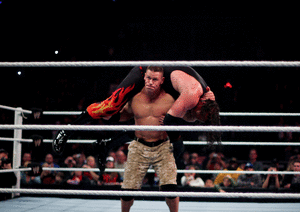 Cena FU Animated
