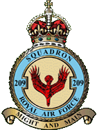 209 RAF emblem
