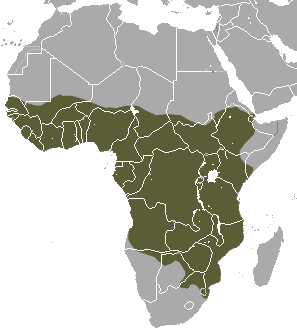African Civet area.png