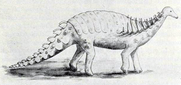 Struthiosaurus Nopsca 1915