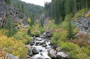 Crooked Creek in Gospel Hump Wilderness
