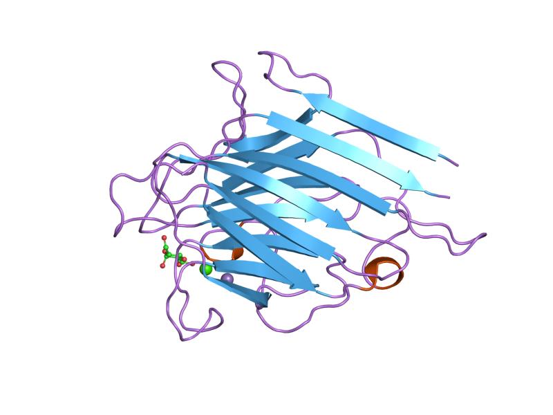 PDB 1lem EBI