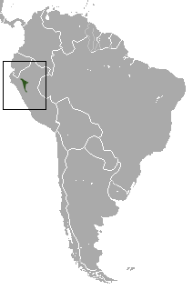 Yellow-tailed Woolly Monkey area