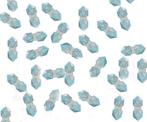 Geminiviruses drawing