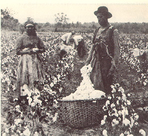 Black cotton farmers 1886