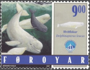 Faroe stamp 329 white whale (Delphinapterus leucas)