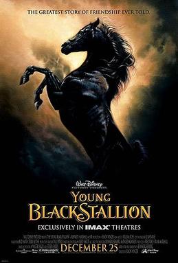 The Young Black Stallion.jpg