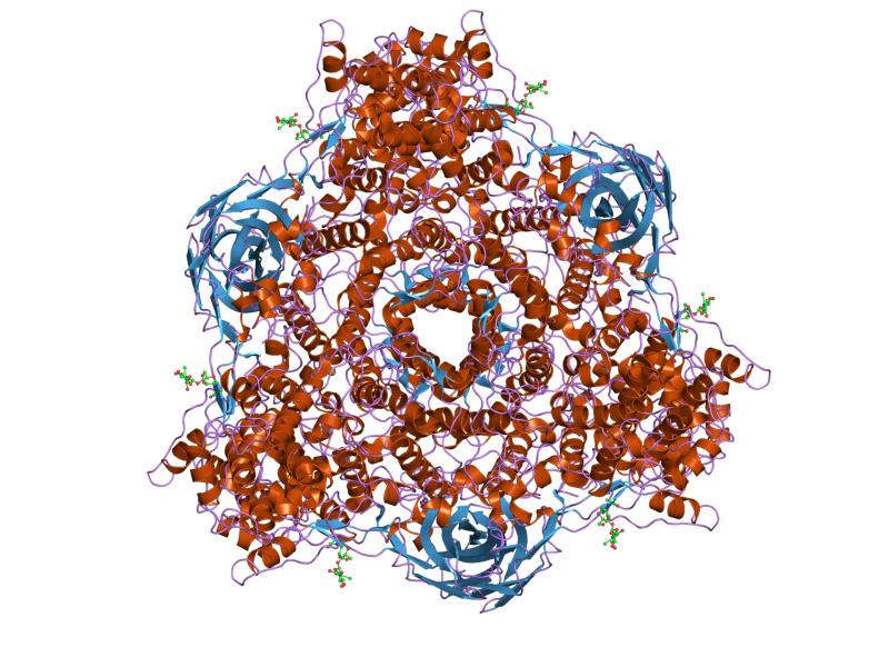 PDB 1hcy EBI