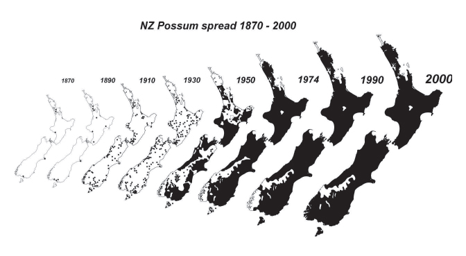 NZ possum spread 1870 - 1990