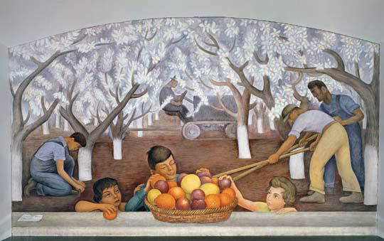 Mural of blossoming almond trees and workers by Diego Rivera, 1931, commissioned by Rosalie Meyer Stern. In the Stern Hall women’s dormitory at UC Berkeley.