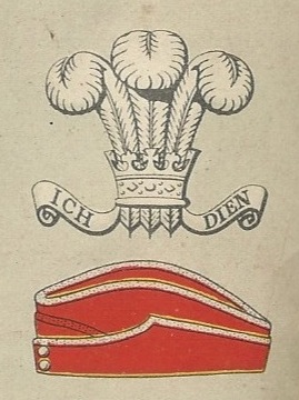 Royal Wiltshire Yeomanry badge and service cap.jpg