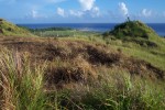 Guam Grassland