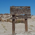 YuhaWellNPS