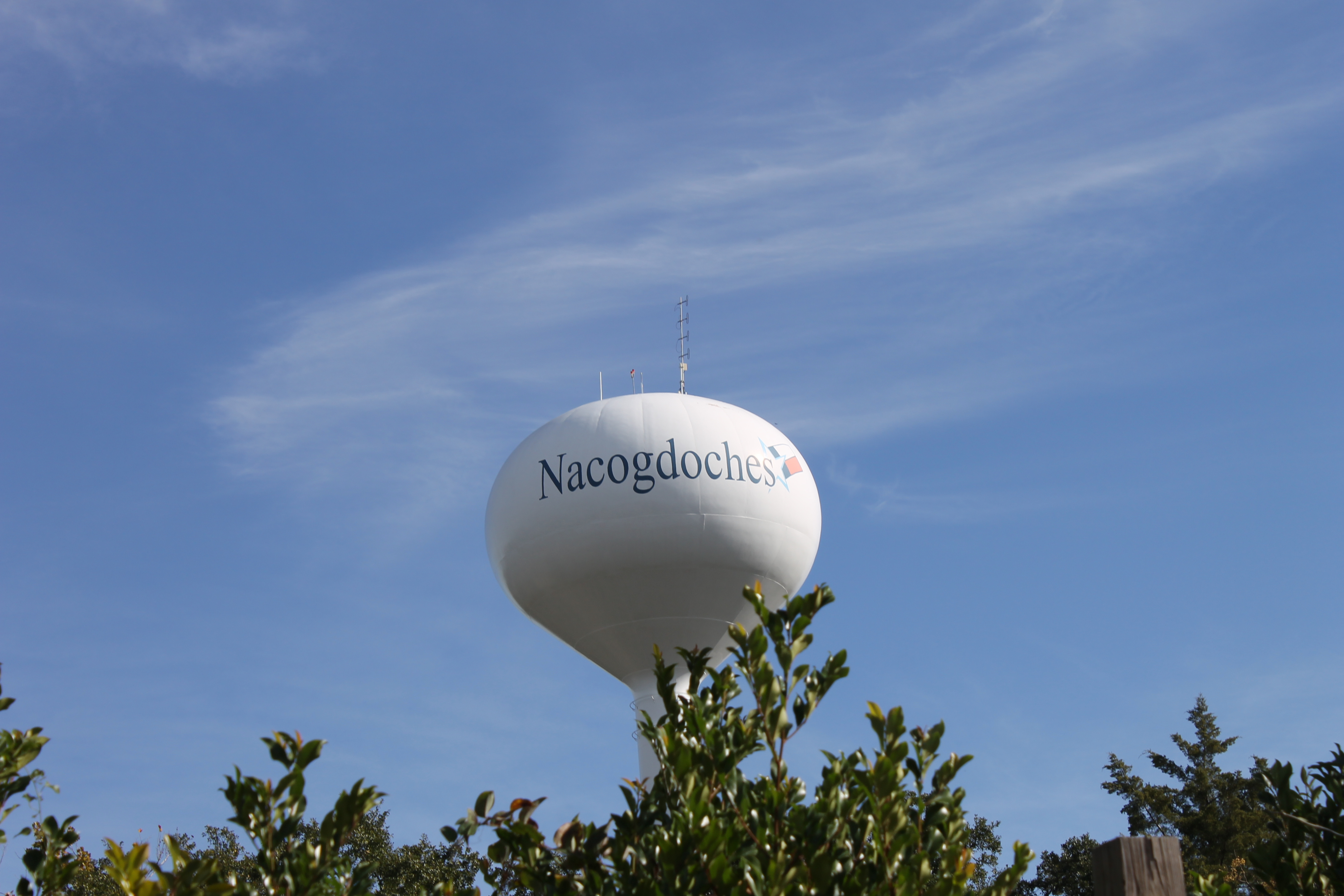 Image Nacogdoches, TX water tower IMG 4005