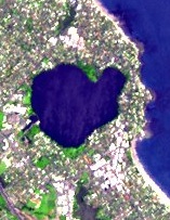 Lake Pupuke - satellite photo.jpg