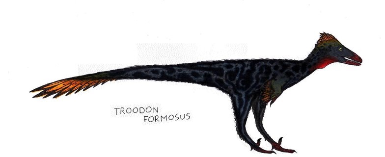 troodon facts