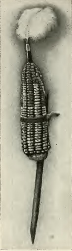 Atira corn goddess symbol