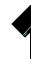 Kit left arm nz t20 2425.png
