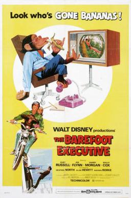 Poster of the movie The Barefoot Executive.jpg