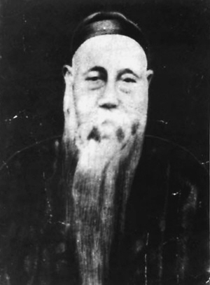 Ding Baozhen