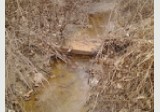 Paint Creek downstream of headwaters.1