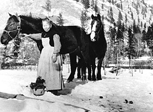 PollyBemis Horse1910