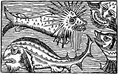 Kraken Olaus Magnus 1555