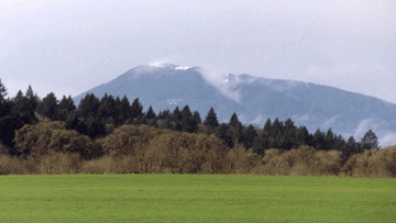 Marys Peak - Central Oregon Coast Range