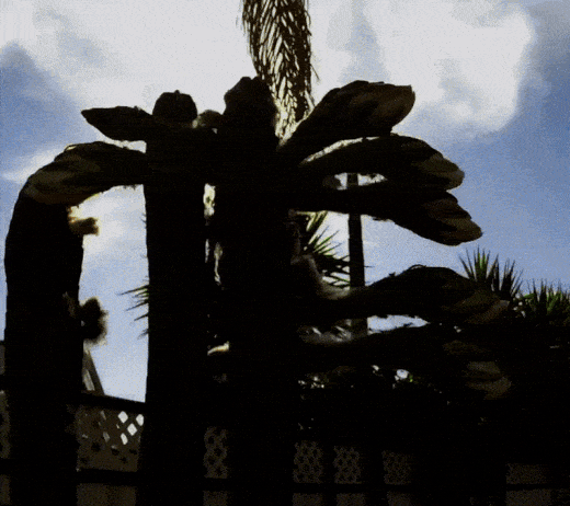 San-pedro-timelapse