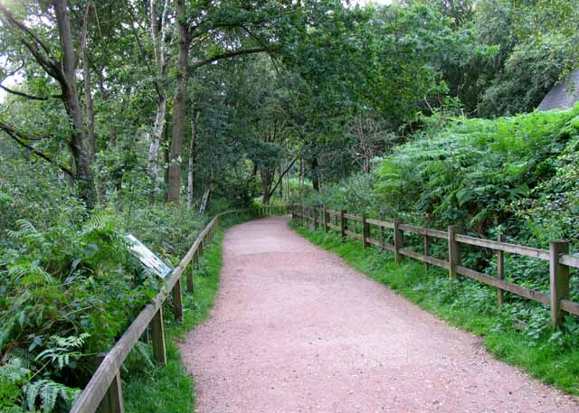 Towards the Major Oak - geograph.org.uk - 3349996