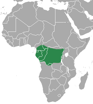 Cameroon Clawless Otter area.png