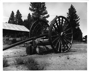 Logging wheel at Collier State Park, 1961