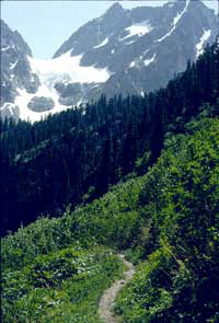 Cascade Pass trail-200px