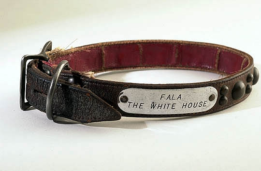 Fala collar