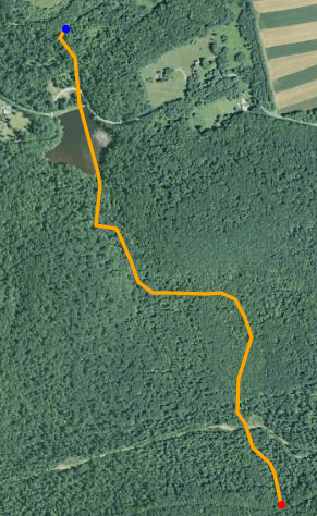 Davis Run satellite map